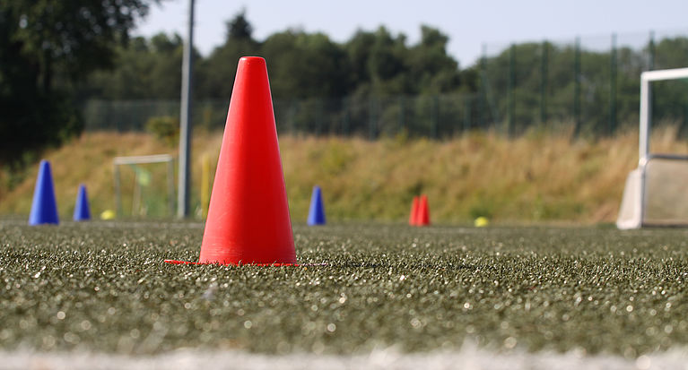 Bund Deutscher Fußball-Lehrer: Dezentrale Fortbildung am 18. März